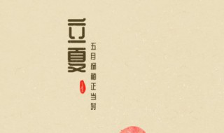 立夏以后还可以种多肉植物吗（夏天能种多肉植物吗）