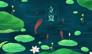 立夏天适合吃什么(立夏吃啥最好)