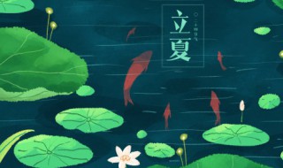 立夏必吃三种美食（立夏吃什么食谱）