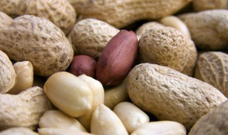 过完立夏能种花生吗（立秋后还可以种花生吗）