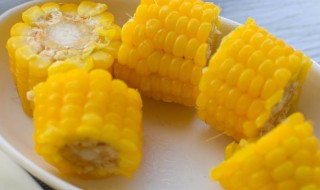 立夏还能种玉米吗（玉米立秋还能种吗）