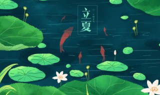 广东立夏过后能种什么 半夏在广东能种植吗