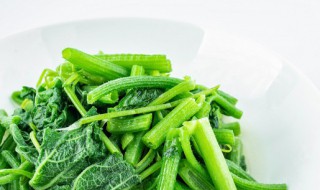 立夏过了种什么蔬菜 立夏时节吃的蔬菜