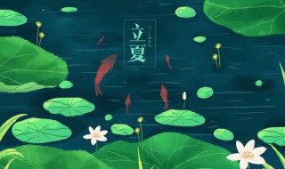 过了立夏种什么最合适 立夏适宜做什么