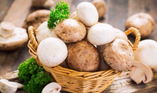 素炒蘑菇怎么做(素炒蘑菇怎么做好吃视频)