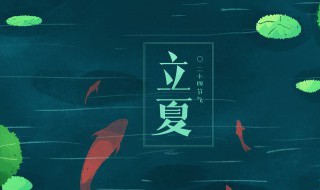 立夏播种时间及方法（夏季播种时间）