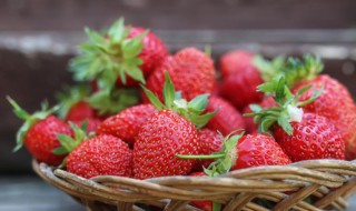 立夏种的水果有哪些 立夏园艺种水果