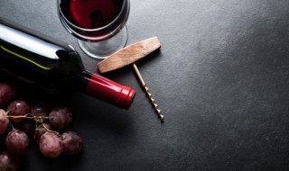 可以放冰箱冷藏吗 火龙果可以放冰箱冷藏吗