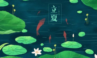 立夏种花好吗（立夏种什么植物）