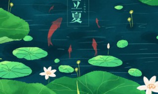 立夏吃什么菜开胃（立夏吃什么养生菜品）