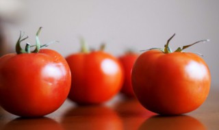 刚立夏适合种什么菜（立冬种什么菜合适）