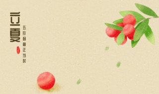 立夏的别称（立夏其他称呼）