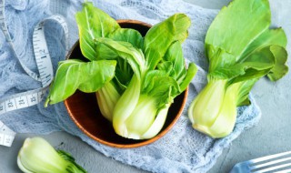 北方立夏种什么蔬菜（北方立春适合种什么蔬菜）