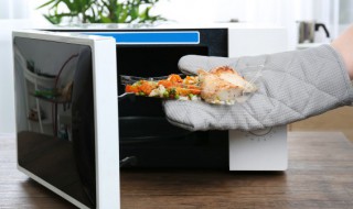 什么东西不能放到微波炉里面（什么东西不能放进微波炉里）