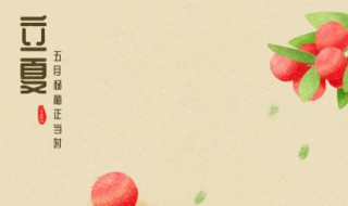 立夏种啥菜 立夏节气种什么菜好