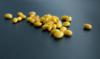 过立夏能不能种大豆（过夏至可以种大豆吗）