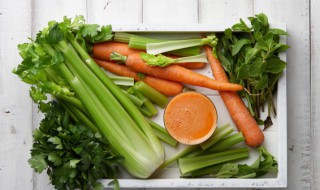 立夏北方能种植什么 北方夏天可以种树吗