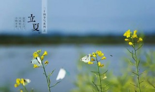 福建立夏种植什么作物（福建立秋后地栽适合种什么花）