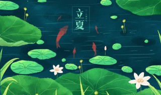 立夏后多久种辣椒 立秋后可以种辣椒吗