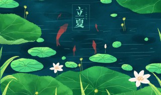 立夏之后什么时候开始种植蔬菜 立春后什么时候可以种菜