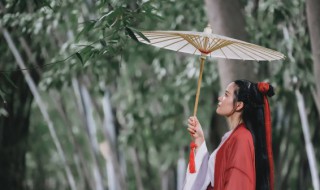 文雅古风的小组名（文雅古风的小组名两个字）