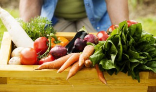 立夏过后可以种植什么蔬菜 立夏还能种菜吗