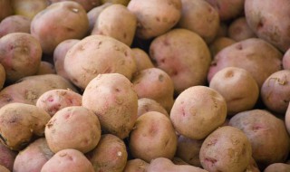 立夏成熟的土豆什么时候种（夏天土豆什么时候种）