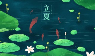 立夏花园里种什么 立夏的花园