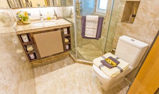 卫生间角架保养技巧有哪些(卫生间三角架)