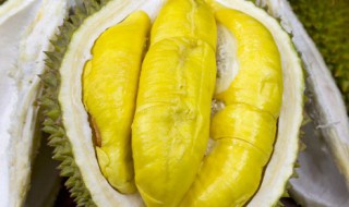 榴莲可以放微波炉里加热吃吗 榴莲可以用微波炉加热吃吗