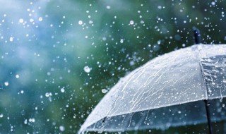 雨伞如何收纳 雨伞收纳方法