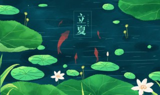 立夏还能种丝瓜吗 丝瓜夏天可以种吗