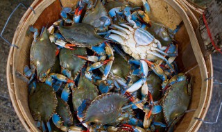 河蟹放冰箱冷藏可以吗 河蟹用放在冰箱里保鲜吗