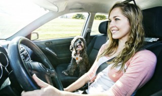 车窗怎么升降（奔驰后车窗怎么升降）