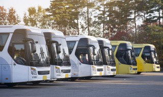 车窗日期怎么看 车窗日期怎么看的