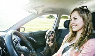 汽车车窗怎么开 汽车车窗怎么开图解