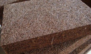 购买椰棕床垫有哪些技巧（如何购买椰棕床垫）