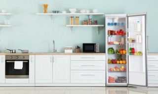 冰箱上可以放绿萝吗（冰箱上可以放绿萝吗对冰箱有伤害吗）