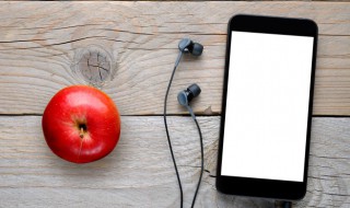 苹果手机忘记密码怎么刷机（苹果忘记密码如何刷机教程）