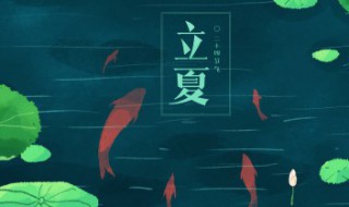 立夏吃蛋特色是什么（立夏应该吃什么蛋）