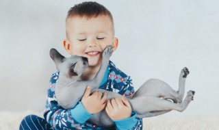 猫咪为什么喜欢舔毛 猫咪为什么喜欢舔毛衣