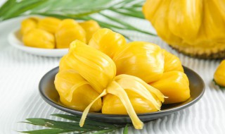 可以当染色剂的水果蔬菜（可以用来染色的蔬菜）