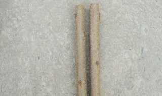怎么防止桃木棍裂开 桃木棍裂口怎样处理