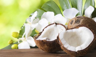 新鲜椰子怎么保存(新鲜椰子怎样保存)