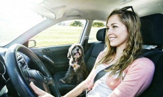 机油滤清器有保质期吗（机油滤清器质保多久）