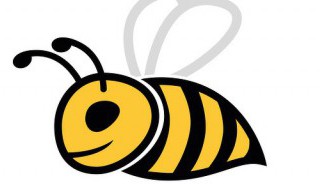 家里有马蜂怎么办（家里总有马蜂怎么处理）