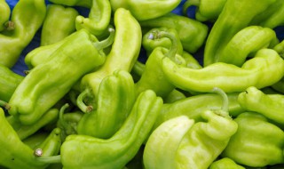 青椒鸡蛋炒饼是怎么做的（青椒鸡蛋饼怎么炒好吃）