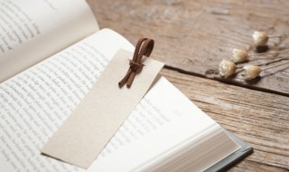 土字旁的女孩名字单字（土字旁的女孩名字大全）