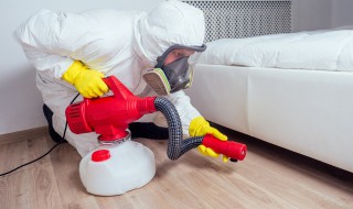 室内小蠓虫怎样去除 室内小蠓虫怎样去除屋里的小飞虫叫什么名字