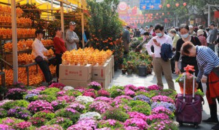 花一天浇几次水什么时间（花一般一天浇几次水）